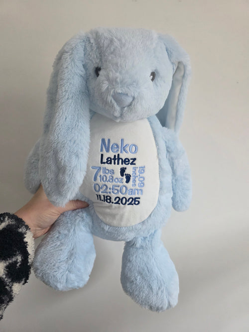 Embroidered Personalised Birth Stats Teddy Bear | New Baby Keepsake