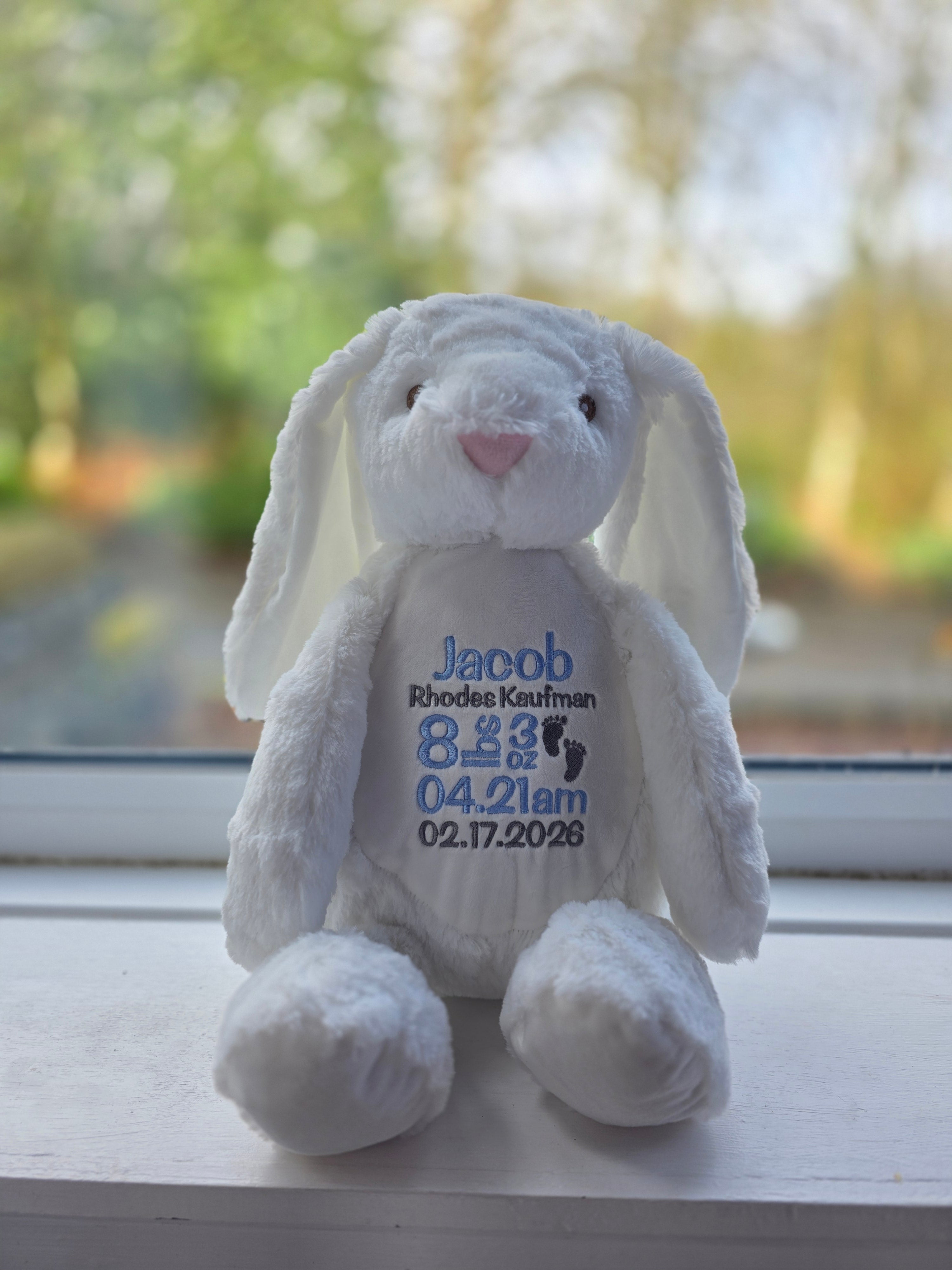 Embroidered Personalised Birth Stats Teddy Bear | New Baby Keepsake